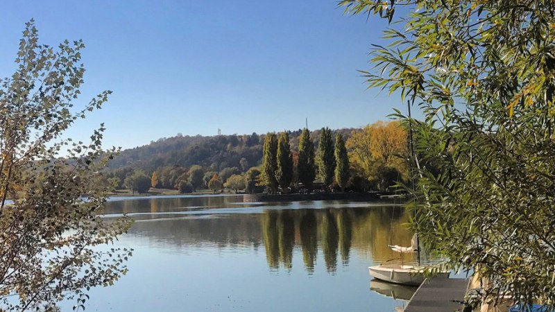 Der Max-Eyth-See mit ruhigem Wasser, umgeben von Bäumen. Ein Bootssteg und Boote sind am rechten Bildrand zu sehen., © Stuttgart-Marketing GmbH