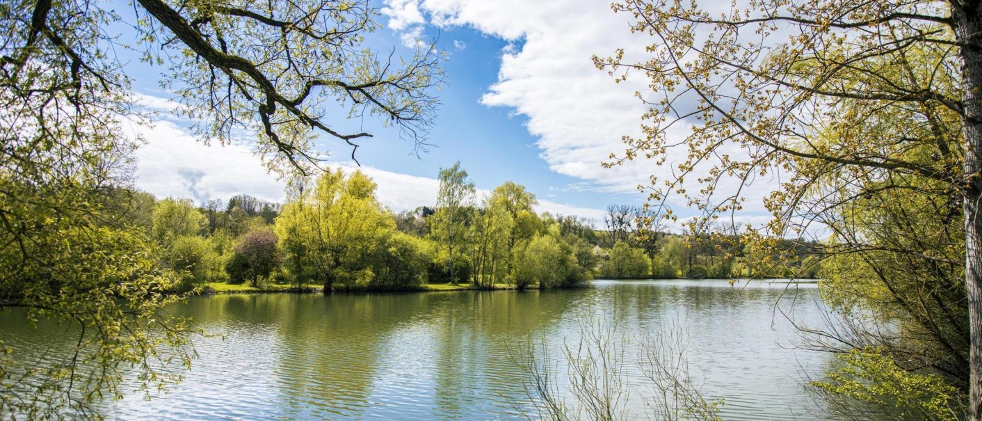 An idyllic lake surrounded by green trees under a blue sky dotted with clouds., © SMG Stuttgart Marketing GmbH - Sarah Schmid An idyllic lake surrounded by green trees under a blue sky dotted with clouds., © SMG Stuttgart Marketing GmbH - Sarah Schmid