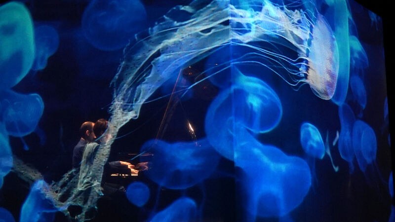 Ein Pianist spielt Klavier, während blaue Quallen auf eine Leinwand projiziert werden. Die Szene verbindet Musik und visuelle Kunst., © FITZ Das Theater animierter Formen Ein Pianist spielt Klavier, während blaue Quallen auf eine Leinwand projiziert werden. Die Szene verbindet Musik und visuelle Kunst., © FITZ Das Theater animierter Formen