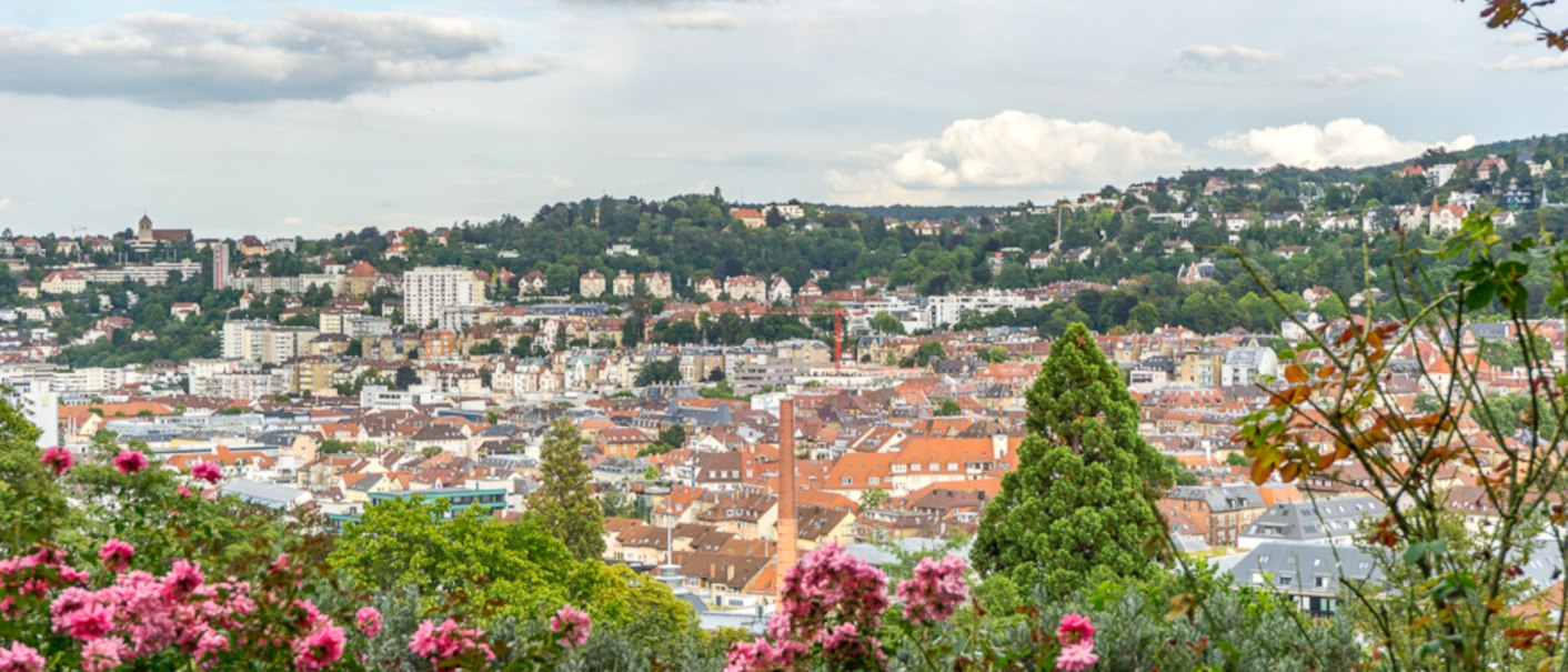 Panoramablick von der Karlsh&ouml;he in Stuttgart, mit bl&uuml;henden rosa Blumen im Vordergrund und einer gr&uuml;nen, h&uuml;geligen Stadtlandschaft im Hintergrund., &copy; SMG Jessica Niederges&auml;ss