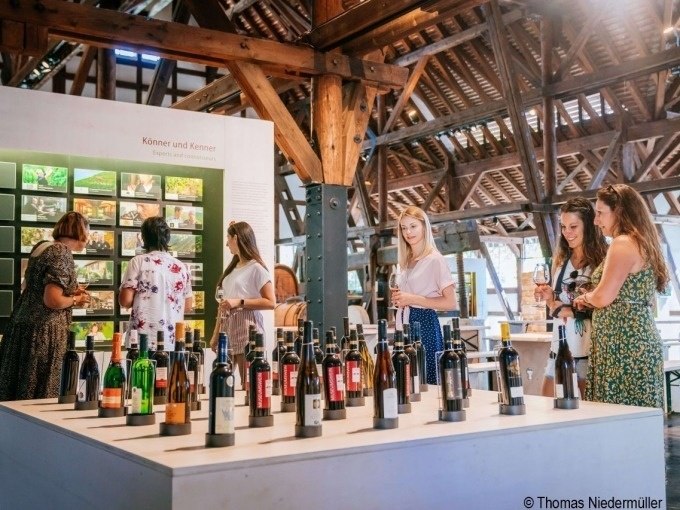 Visitors to the wine museum view an exhibition of various wine bottles. Information boards and wooden constructions can be seen in the background., © Stuttgart Marketing GmbH Visitors to the wine museum view an exhibition of various wine bottles. Information boards and wooden constructions can be seen in the background., © Stuttgart Marketing GmbH