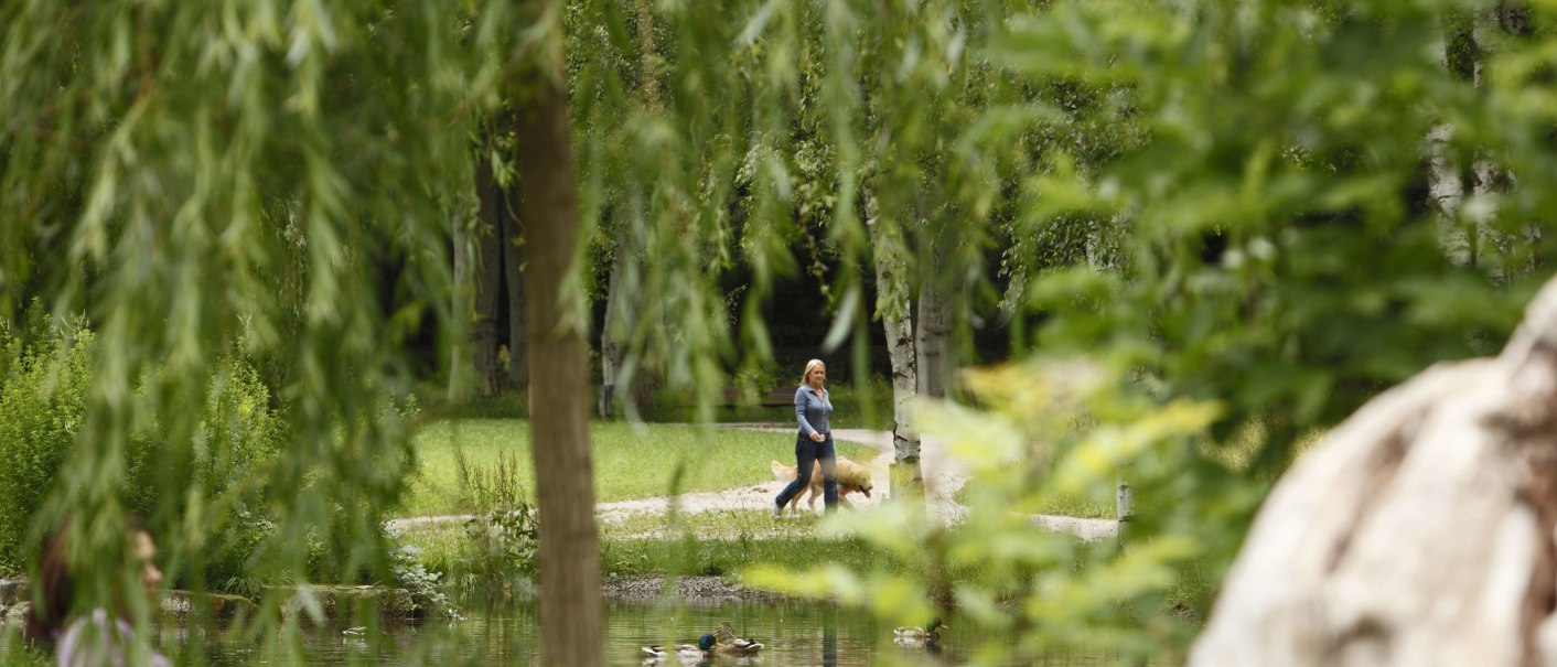 A woman walks with a dog in Stuttgart Palace Gardens. Trees and a pond with ducks can be seen in the foreground., &copy; Stuttgart-Marketing GmbH, Christoph D&uuml;pper