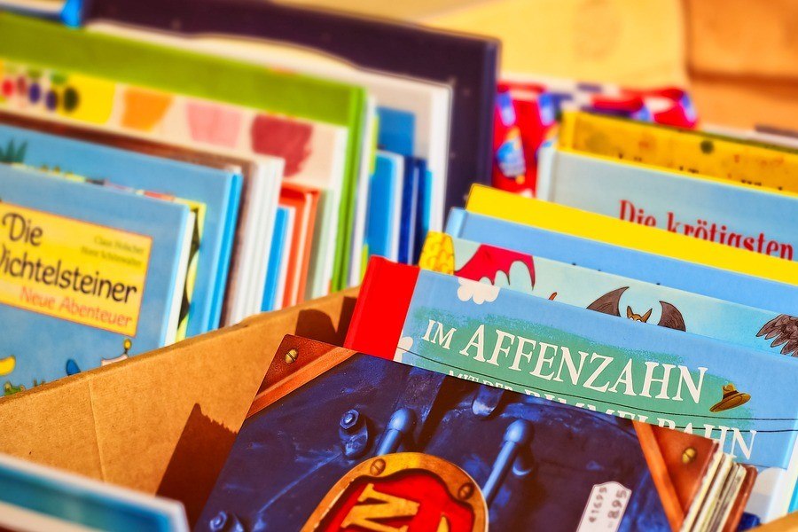 Bunte Kinderb&uuml;cher in einem Karton, darunter Titel wie 'Die Wichtelsteiner' und 'Im Affenzahn'., &copy; Stephanie Kummert