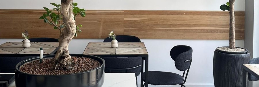 Modernes Caf&eacute;-Interieur mit Holztischen, schwarzen St&uuml;hlen und gro&szlig;en Zimmerb&auml;umen in schwarzen Pflanzgef&auml;&szlig;en., &copy; Taraba