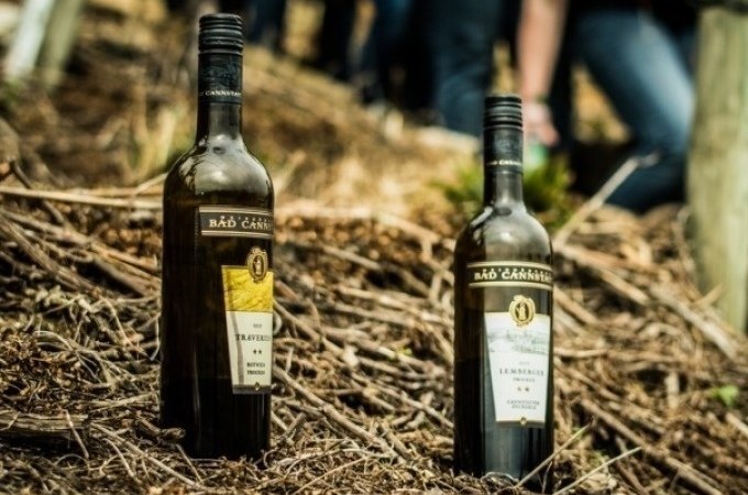 Zwei Weinflaschen auf Waldboden, im Hintergrund unscharfe Personen. Titel: Weinsafari für Gruppen., © Cool-Tours StattReisen
