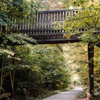 Ein Waldweg f&uuml;hrt unter einer Holzbr&uuml;cke hindurch, umgeben von dichtem gr&uuml;nen Laub. Eine Person in Rot ist in der Ferne sichtbar., &copy; Stuttgart Marketing GmbH, Sarah Schmid