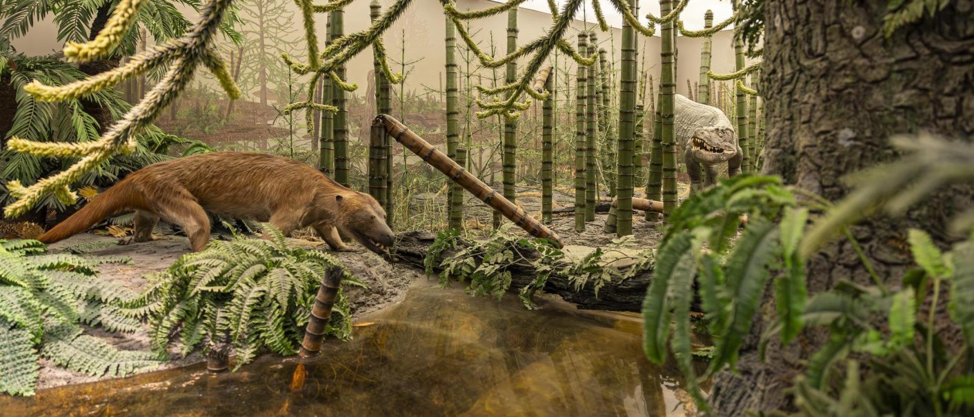 A diorama in the Museum am Löwentor shows prehistoric animals and plants in a forest landscape with a watercourse., © Stuttgart-Marketing GmbH, Sarah Schmid