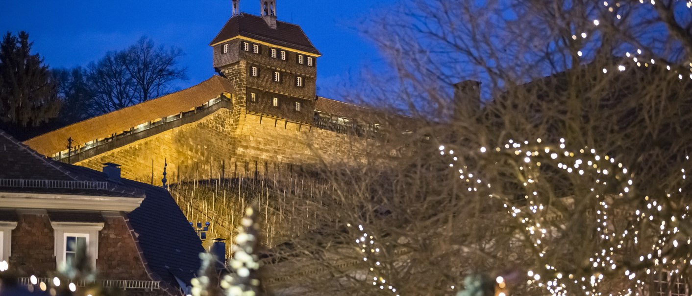 Esslingen Castle glows at dusk, surrounded by trees strung with lights. A festive sight during the blue hour., © www.miketraffic.com Esslingen Castle glows at dusk, surrounded by trees strung with lights. A festive sight during the blue hour., © www.miketraffic.com