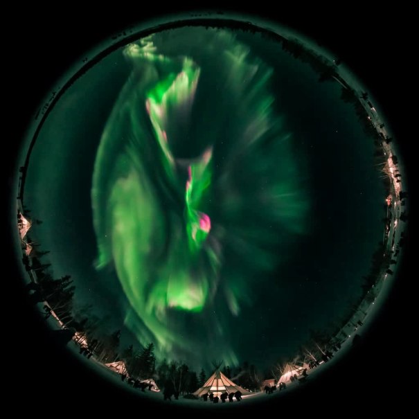 Fischaugenaufnahme von gr&uuml;nen und pinken Nordlichtern am Nachthimmel &uuml;ber Zelten und B&auml;umen., &copy; Planetarium Stuttgart
