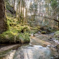 Sulzbach-Laufen_Wasserwelt Sulzbach-Laufen_Wasserwelt