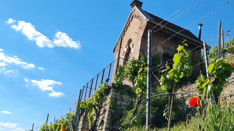 Weinbergh&auml;usle, &copy; Sideline Wine GmbH