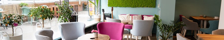 Bright café with modern gray and pink chairs, wooden tables and green plants. Large window front and green moss wall with "Energetic life" lettering., © � 2022 Anastasiia Vovk, all rights reserved.