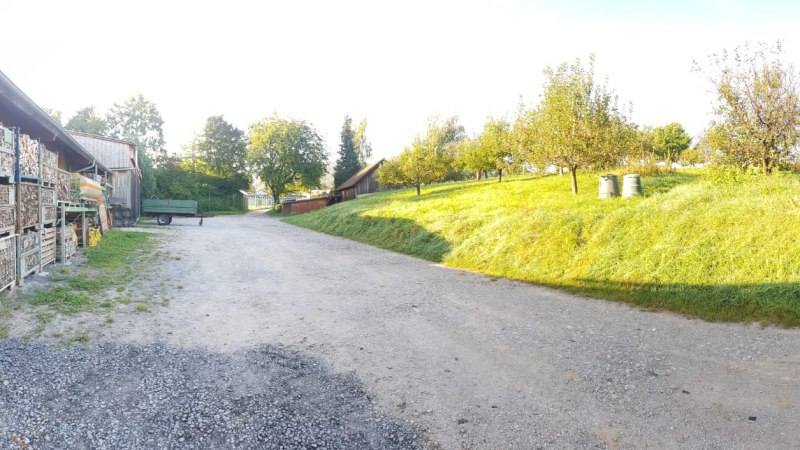 Ländliche Szene mit Holzstapeln an einem Gebäude, einem Anhänger und Obstbäumen auf einer Wiese bei sonnigem Wetter., © Mannschreck-Weine