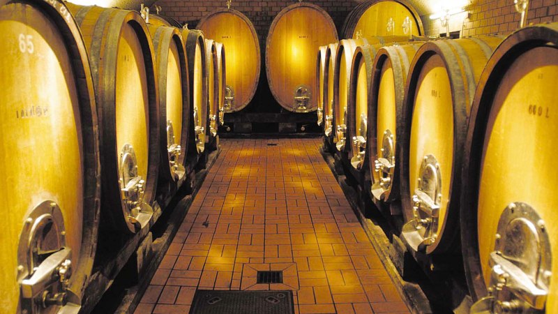 Ein Weinkeller mit großen Holzfässern, die in zwei Reihen entlang eines gefliesten Gangs stehen. Die Fässer sind beleuchtet und in einem Gewölbe untergebracht., © Herzog von Württemberg Ein Weinkeller mit großen Holzfässern, die in zwei Reihen entlang eines gefliesten Gangs stehen. Die Fässer sind beleuchtet und in einem Gewölbe untergebracht., © Herzog von Württemberg
