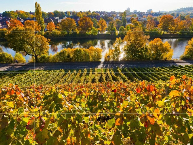 Herbstliche Weinberge mit buntem Laub erstrecken sich vor einem ruhigen Fluss. Im Hintergrund sind B&auml;ume und eine Stadt zu sehen., &copy; Cool-Tours StattReisen