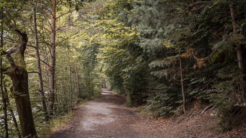 Stuttgart-Marketing GmbH, Sarah Schmid