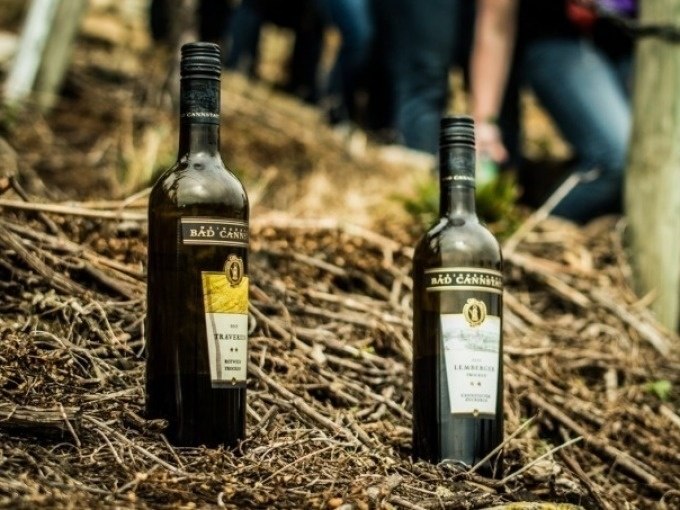 Zwei Weinflaschen auf Waldboden, im Hintergrund unscharfe Personen. Titel: Weinsafari für Gruppen., © Cool-Tours StattReisen