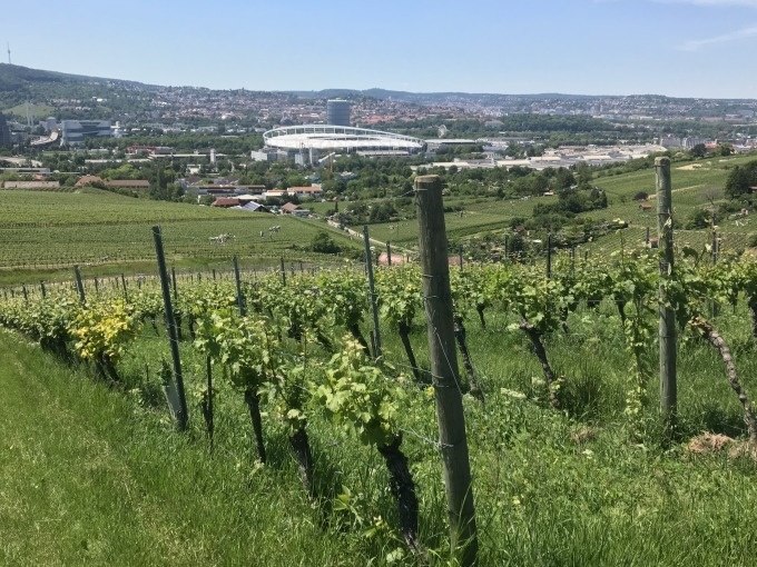 Weinberge in Stuttgart mit Blick auf ein gro&szlig;es Stadion im Hintergrund, umgeben von gr&uuml;ner Landschaft und blauen Himmel., &copy; Weingenuss Stuttgart