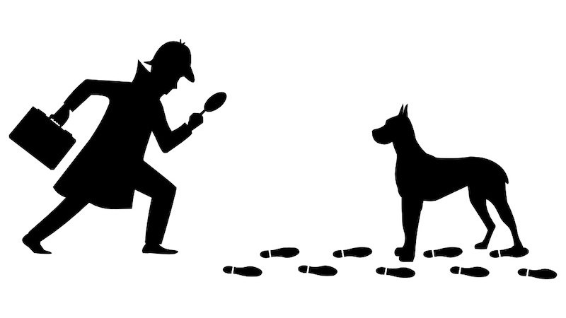 Silhouette of a detective with a magnifying glass following footprints. A dog stands at the end of the trail., © Theater der Altstadt Silhouette of a detective with a magnifying glass following footprints. A dog stands at the end of the trail., © Theater der Altstadt