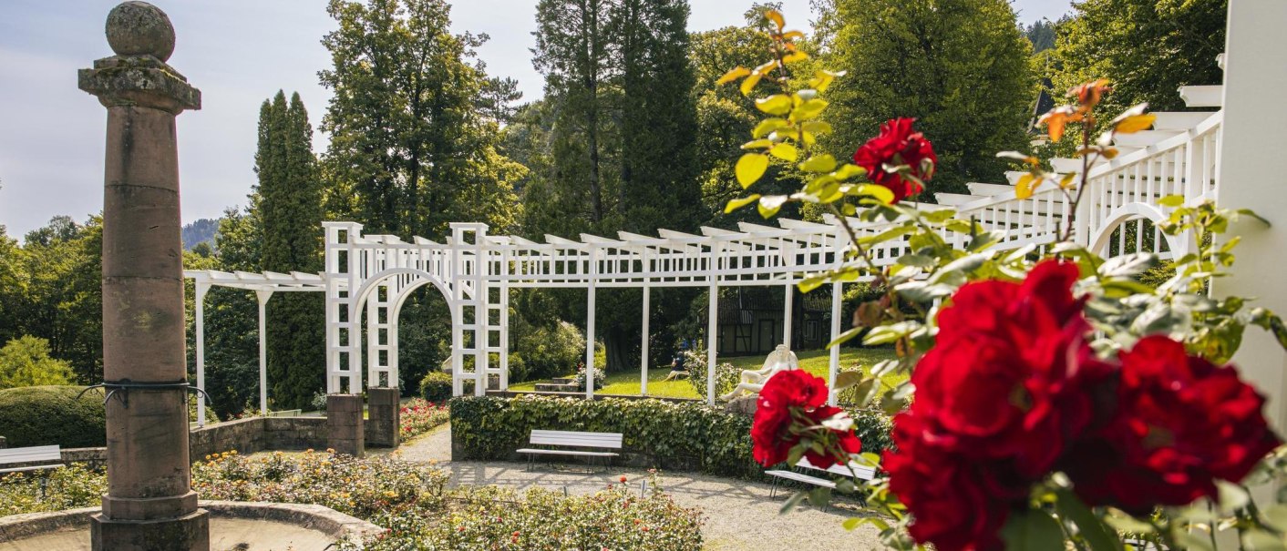 rose gardens, © Stuttgart-Marketing GmbH, Sarah Schmid