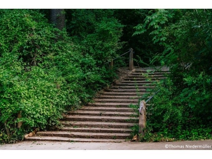 Steintreppe führt durch dichte grüne Vegetation, mit Holzgeländer an beiden Seiten. Üppige Pflanzen umrahmen die Szene., © Stuttgart Marketing GmbH Steintreppe führt durch dichte grüne Vegetation, mit Holzgeländer an beiden Seiten. Üppige Pflanzen umrahmen die Szene., © Stuttgart Marketing GmbH