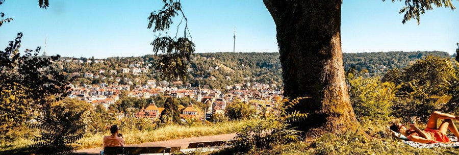 Blick von der Karlshöhe auf Stuttgart, mit einem großen Baum im Vordergrund und dem Fernsehturm in der Ferne. Menschen entspannen auf der Wiese., © Stuttgart Marketing GmbH, Sarah Schmid Blick von der Karlshöhe auf Stuttgart, mit einem großen Baum im Vordergrund und dem Fernsehturm in der Ferne. Menschen entspannen auf der Wiese., © Stuttgart Marketing GmbH, Sarah Schmid