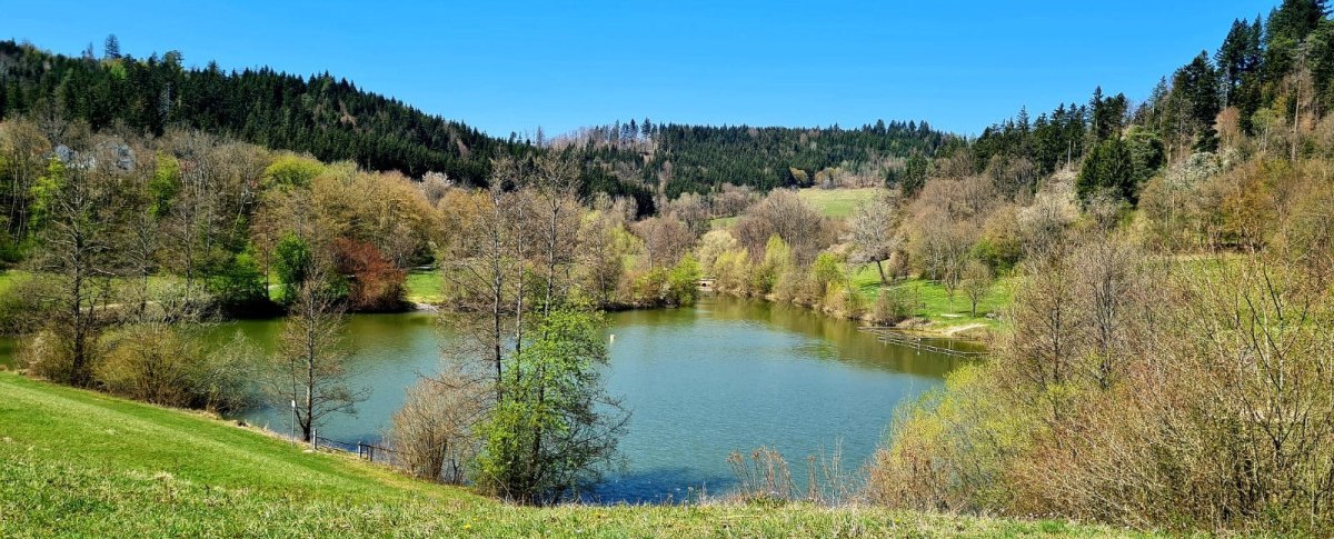 Inklusive Wanderbotschafter:innen - Diebachsee - Barrierefreie Wanderung mit Start in Fichtenberg