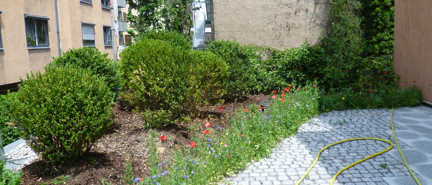 Ein gepflasterter Gartenbereich mit Sträuchern und bunten Blumen neben einem Wohngebäude. Ein gelber Gartenschlauch liegt auf dem Boden., © Abalon Hotel Ideal Ein gepflasterter Gartenbereich mit Sträuchern und bunten Blumen neben einem Wohngebäude. Ein gelber Gartenschlauch liegt auf dem Boden., © Abalon Hotel Ideal