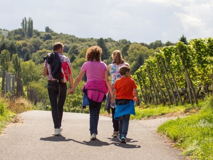 A family walks along a path through vineyards. The sun is shining and the landscape is green and hilly., &copy; Cool-Tours StattReisen