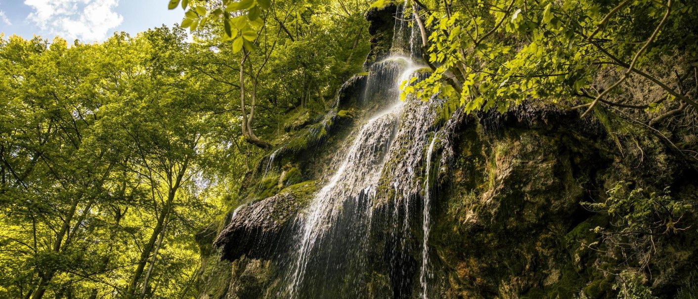 The Urach Waterfall flows over a moss-covered rock face, surrounded by dense, green forest and a blue sky., © SMG Stuttgart Marketing GmbH - Sarah Schmid The Urach Waterfall flows over a moss-covered rock face, surrounded by dense, green forest and a blue sky., © SMG Stuttgart Marketing GmbH - Sarah Schmid