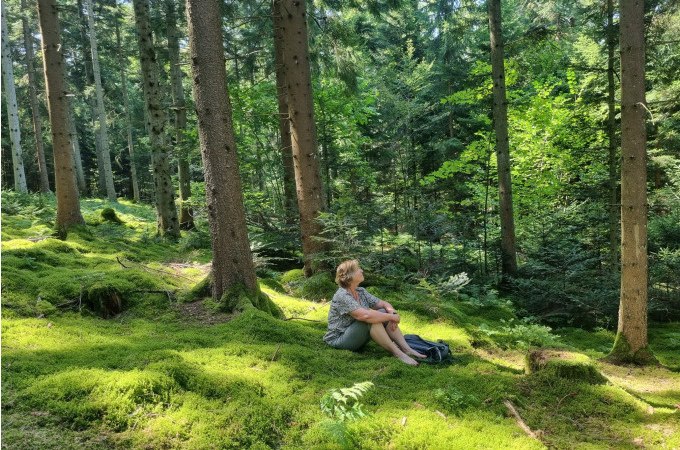 Shinrin Yoku - Forest bathing: Herbal scent / Cool oasis / Forest feeling / Late summer moments, © WTM GmbH Waiblingen