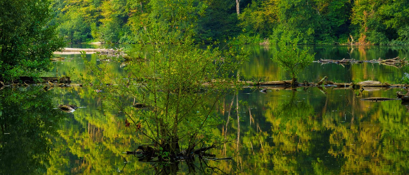 Steinbach Campsite Schwäbisch Hall, © Michael Kuehneisen Steinbach Campsite Schwäbisch Hall, © Michael Kuehneisen