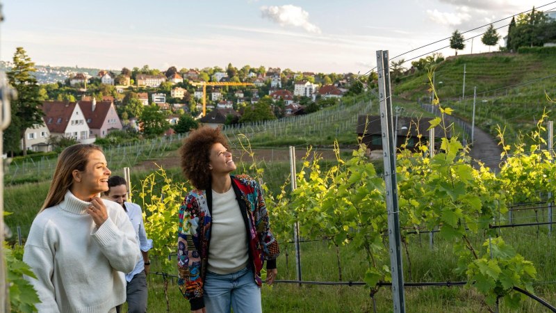 Vineyards in Stuttgart, &copy; Stuttgart-Marketing GmbH, Martina Denker