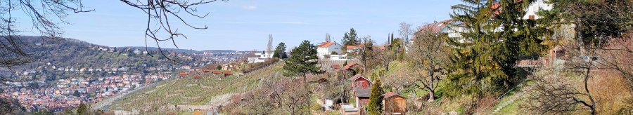 H&uuml;gelige Landschaft mit Weinbergen und kleinen H&uuml;tten, im Hintergrund eine Stadt. B&auml;ume ohne Bl&auml;tter rahmen das Bild ein, blauer Himmel., &copy; SMG