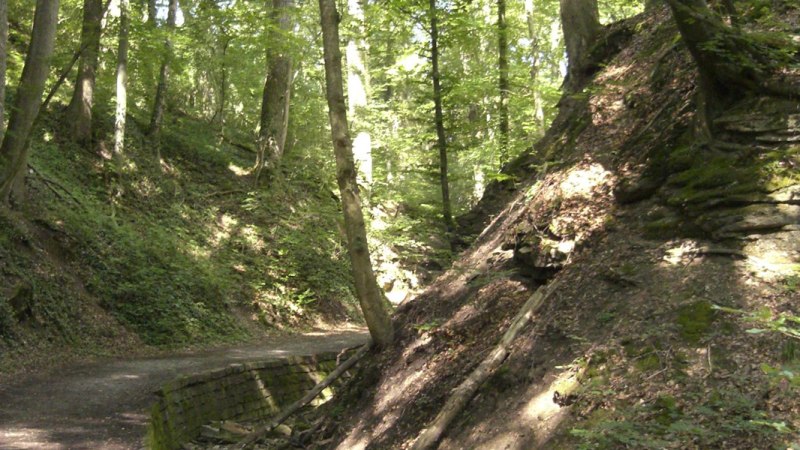 Schwälblesklinge, © Stuttgarter Straßenbahnen AG Schwälblesklinge, © Stuttgarter Straßenbahnen AG