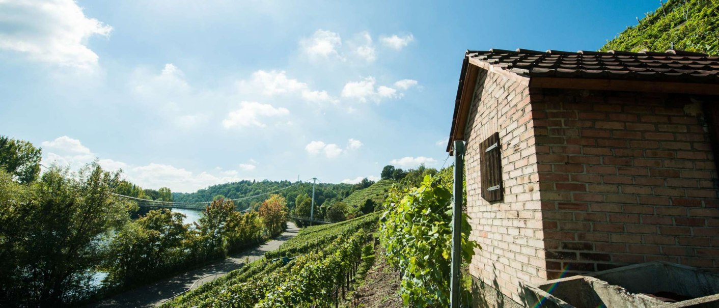 A small brick hut stands next to vines on a hill. A river flows in the background, surrounded by trees and a clear blue sky., © Weingut Zaißerei
