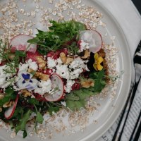 Ein dekorativer Salat mit Radieschen, Nüssen und essbaren Blüten auf einem Teller, serviert auf einer Zeitung., © Fritz, Stuttgart Ein dekorativer Salat mit Radieschen, Nüssen und essbaren Blüten auf einem Teller, serviert auf einer Zeitung., © Fritz, Stuttgart