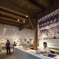 Stadtmuseum Stuttgart-Bad Cannstatt, © StadtPalais – Museum für Stuttgart Stadtmuseum Stuttgart-Bad Cannstatt, © StadtPalais – Museum für Stuttgart