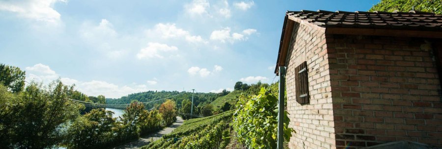 A small brick hut stands next to vines on a hill. A river flows in the background, surrounded by trees and a clear blue sky., &copy; Weingut Zai&szlig;erei