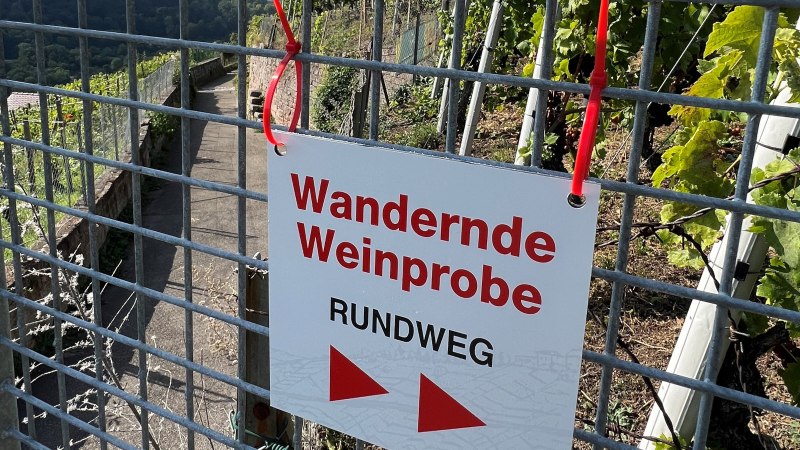 Wandering wine tasting, © Frank Nonnenmann