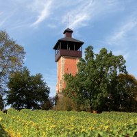 Der Burgholzhof Aussichtsturm erhebt sich über Weinreben, umgeben von Bäumen, unter einem klaren blauen Himmel., © Stuttgart-Marketing GmbH, Achim Mende Der Burgholzhof Aussichtsturm erhebt sich über Weinreben, umgeben von Bäumen, unter einem klaren blauen Himmel., © Stuttgart-Marketing GmbH, Achim Mende