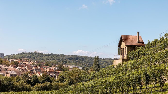 Weinwanderweg Stuttgart Bad Cannstatt, &copy; Stuttgart-Marketing GmbH, Sarah Schmid