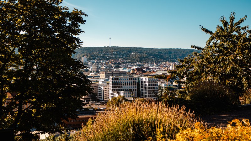 Stadtpanorama mit Fernsehturm im Hintergrund, umgeben von grünen Hügeln. Im Vordergrund sind Bäume und Pflanzen zu sehen., © SMG Stuttgart Marketing GmbH - Sarah Schmid