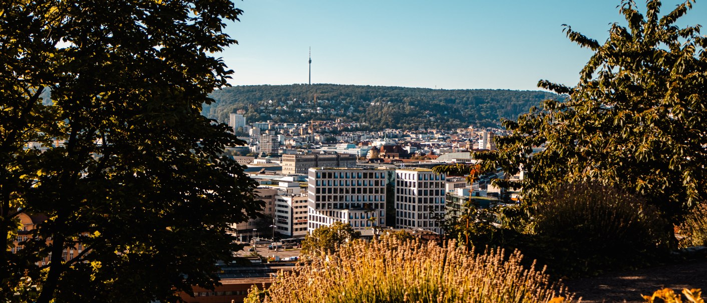 Stadtpanorama mit Fernsehturm im Hintergrund, umgeben von grünen Hügeln. Im Vordergrund sind Bäume und Pflanzen zu sehen., © SMG Stuttgart Marketing GmbH - Sarah Schmid