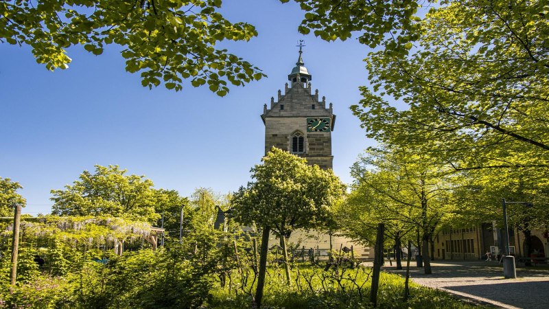 A church tower in Fellbach rises up between green trees under a clear blue sky. The surroundings are peaceful and inviting., © SMG Stuttgart Marketing GmbH - Sarah Schmid A church tower in Fellbach rises up between green trees under a clear blue sky. The surroundings are peaceful and inviting., © SMG Stuttgart Marketing GmbH - Sarah Schmid