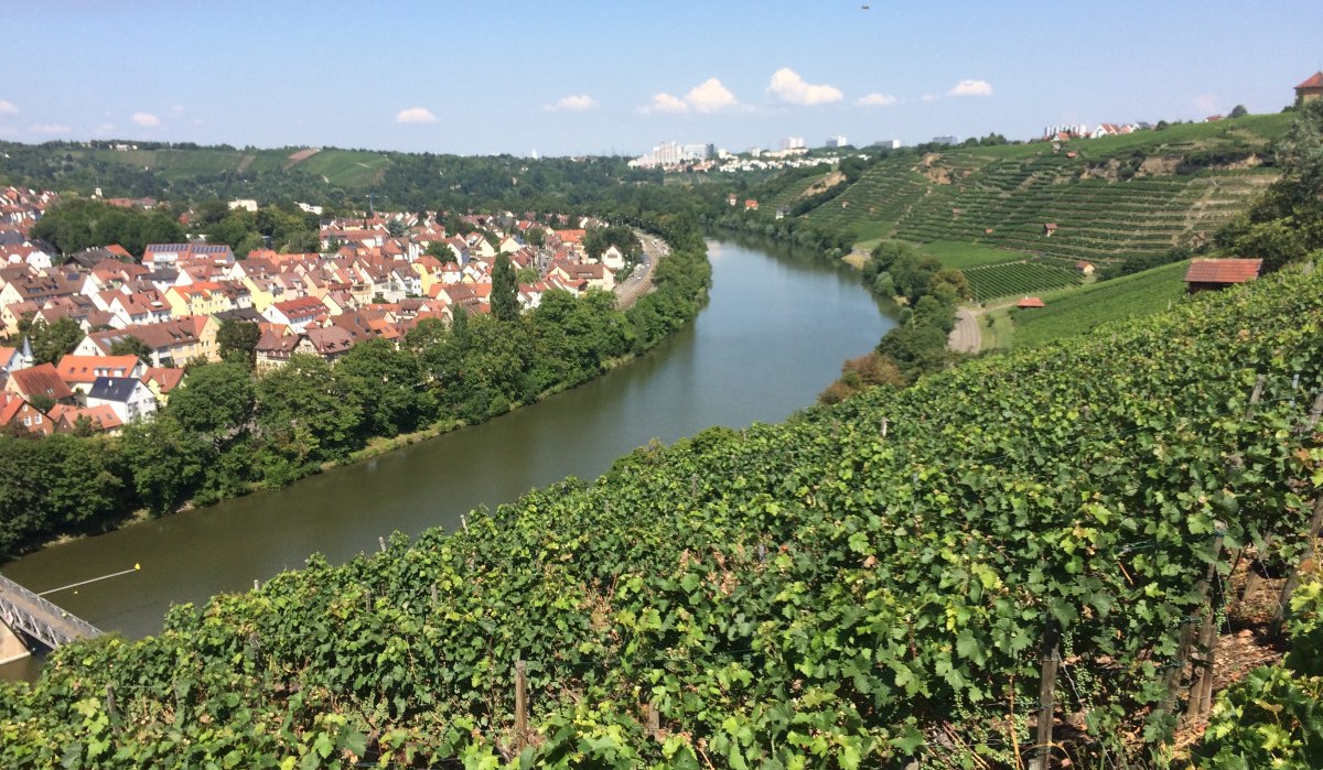 Weinberge am Neckar mit Blick auf den Fluss und eine Stadt im Hintergrund. Die Landschaft ist von grünen Reben und blauen Himmel geprägt., © Stuttgart-Marketing GmbH Weinberge am Neckar mit Blick auf den Fluss und eine Stadt im Hintergrund. Die Landschaft ist von grünen Reben und blauen Himmel geprägt., © Stuttgart-Marketing GmbH