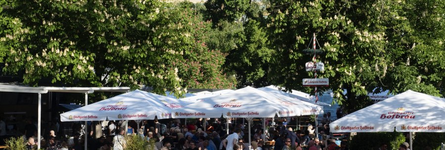 Beer garden in the palace gardens with lots of people under large parasols. A fountain in the foreground, surrounded by green trees and buildings in the background., &copy; Michele Scognamillo