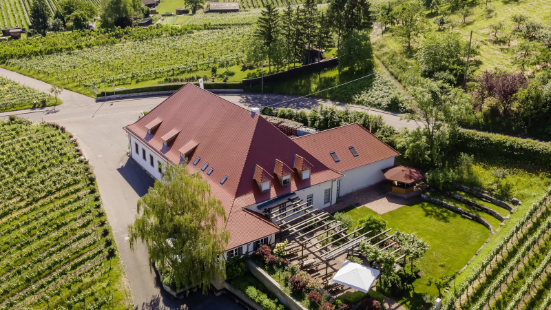 Luftaufnahme eines Geb&auml;udes mit rotem Dach, umgeben von Weinbergen und gr&uuml;ner Landschaft. Ein Garten mit Pergola und Sonnenschirm ist sichtbar., &copy; Collegium Wirtemberg