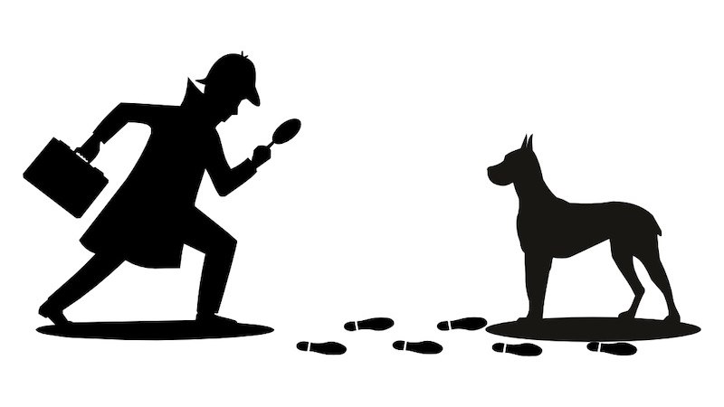 Schattenriss eines Detektivs mit Lupe, der Fußspuren folgt. Ein Hund steht am Ende der Spur., © Theater der Altstadt Schattenriss eines Detektivs mit Lupe, der Fußspuren folgt. Ein Hund steht am Ende der Spur., © Theater der Altstadt