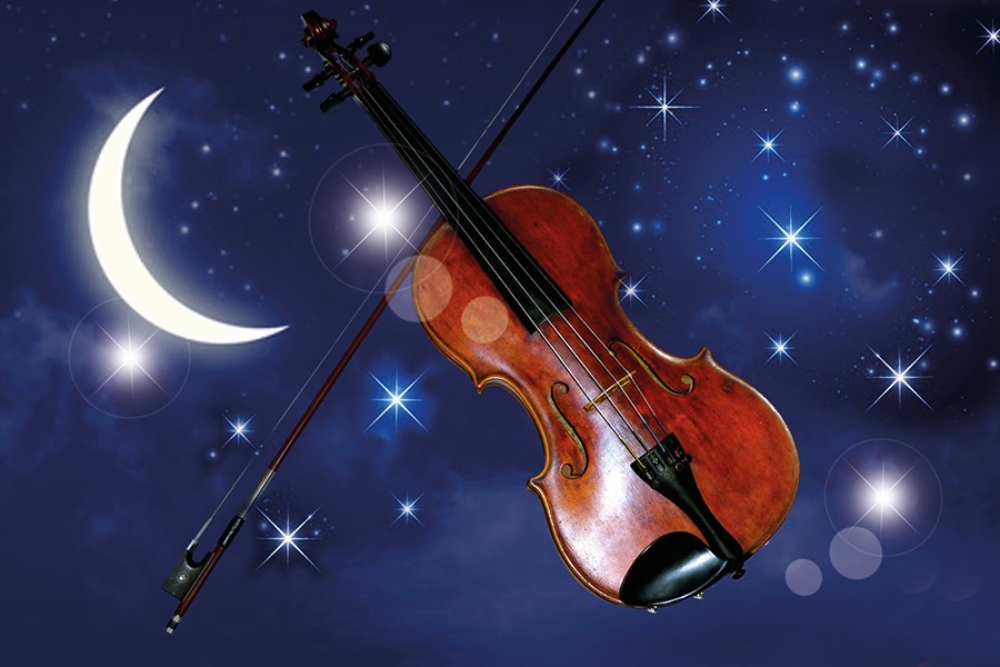 Adventskonzert, &copy; Dresdner Residenz Orchester